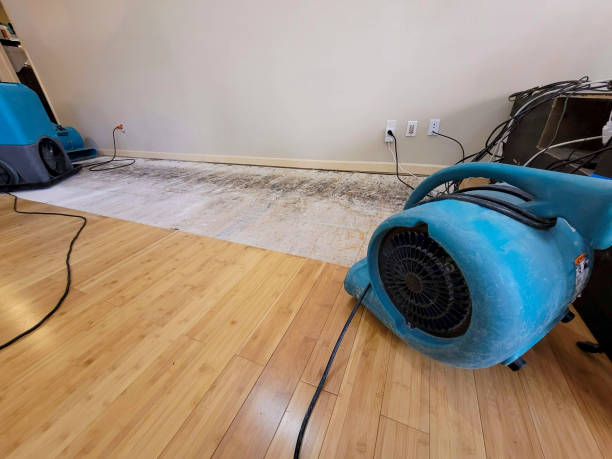 Professional Burst Pipe Water Damage technician working in Locust, NC